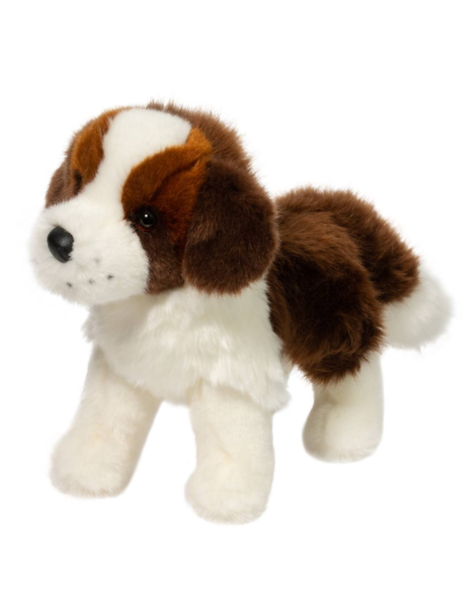 Douglas Douglas - Brutus St. Bernard