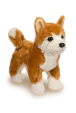 Douglas Douglas - Dunham Shiba Inu
