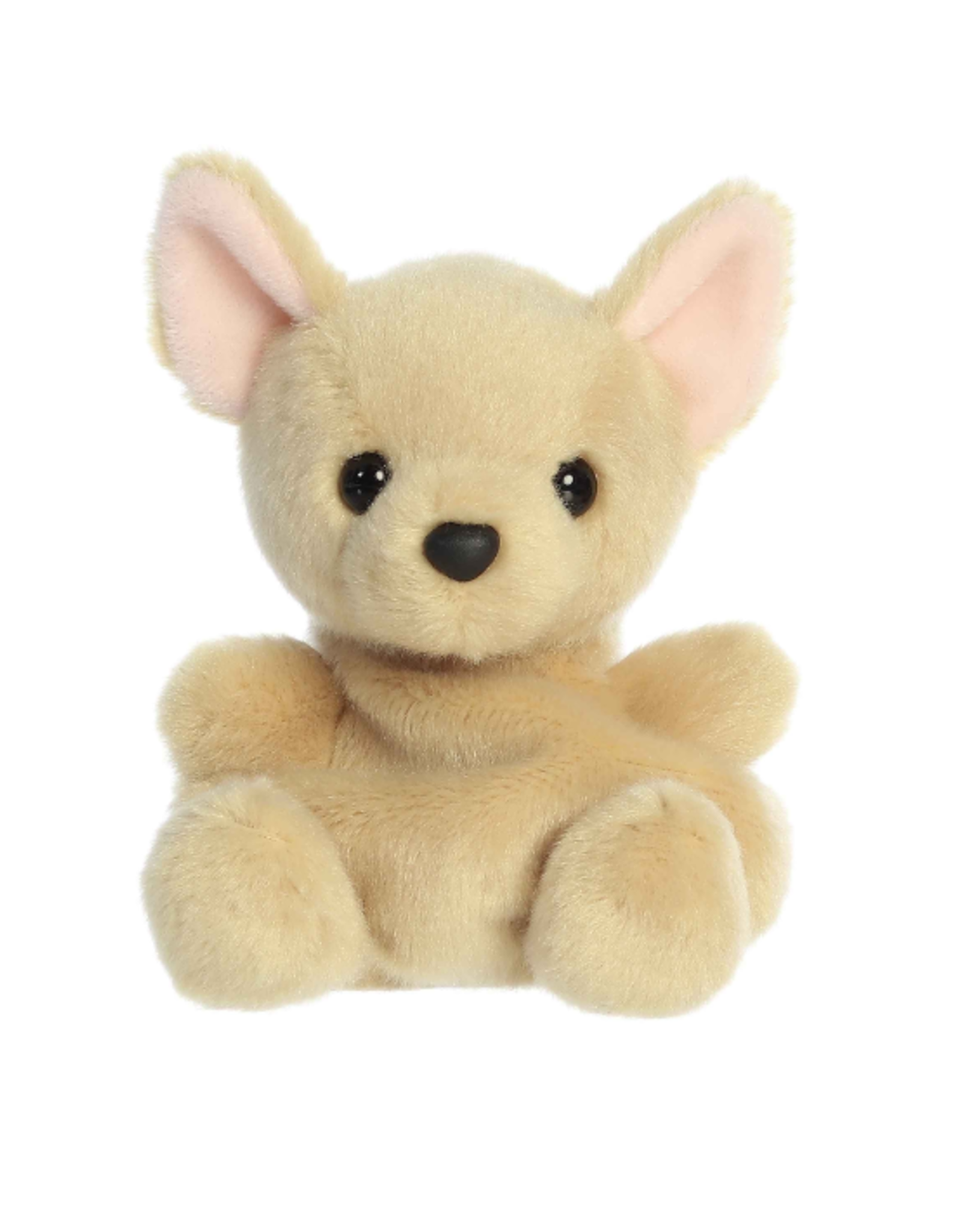 Aurora Aurora - Palm Pals 5" Cookie Chihuahua