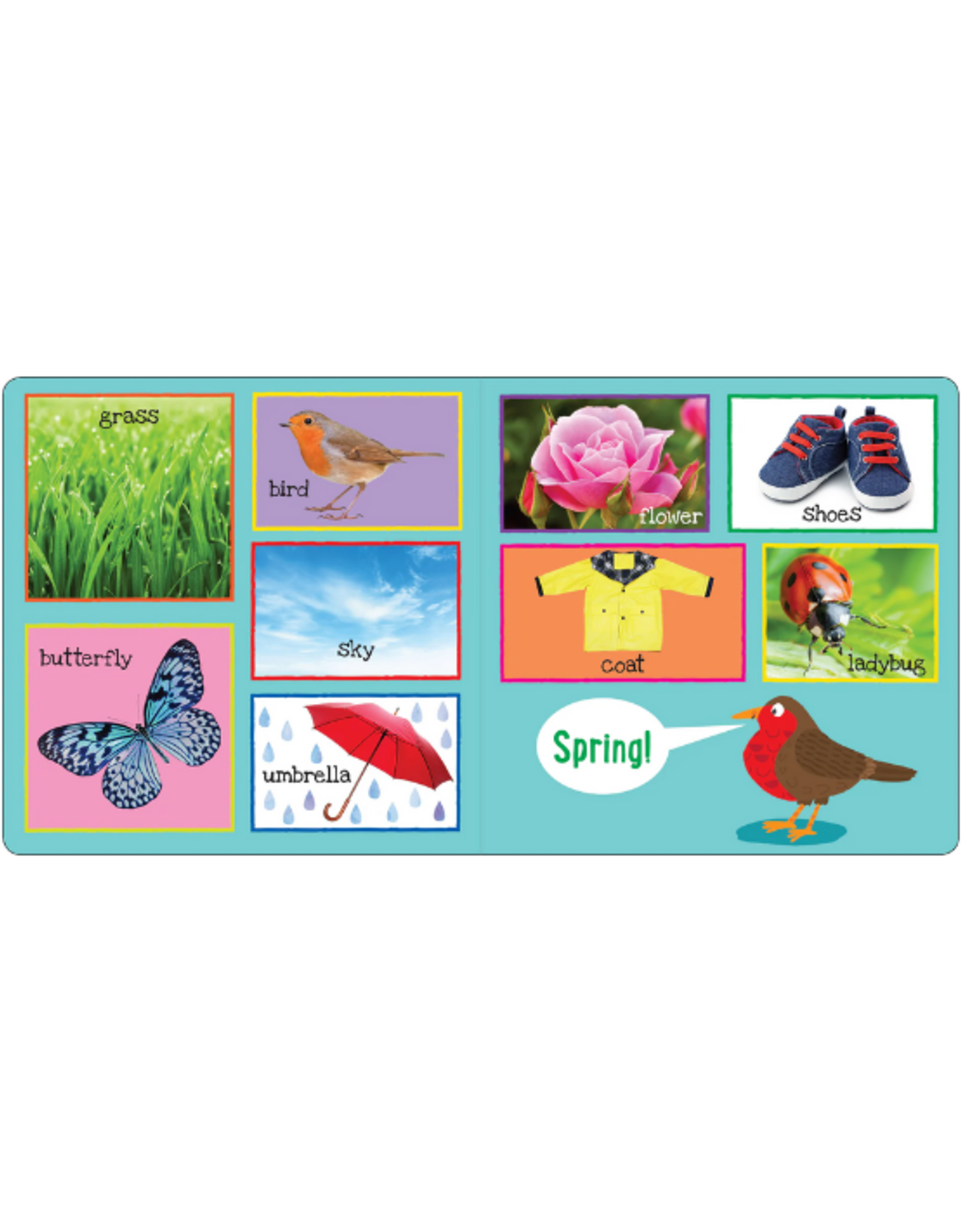 Peter Pauper Press Peter Pauper Press - My First 101 WORDS Board Book