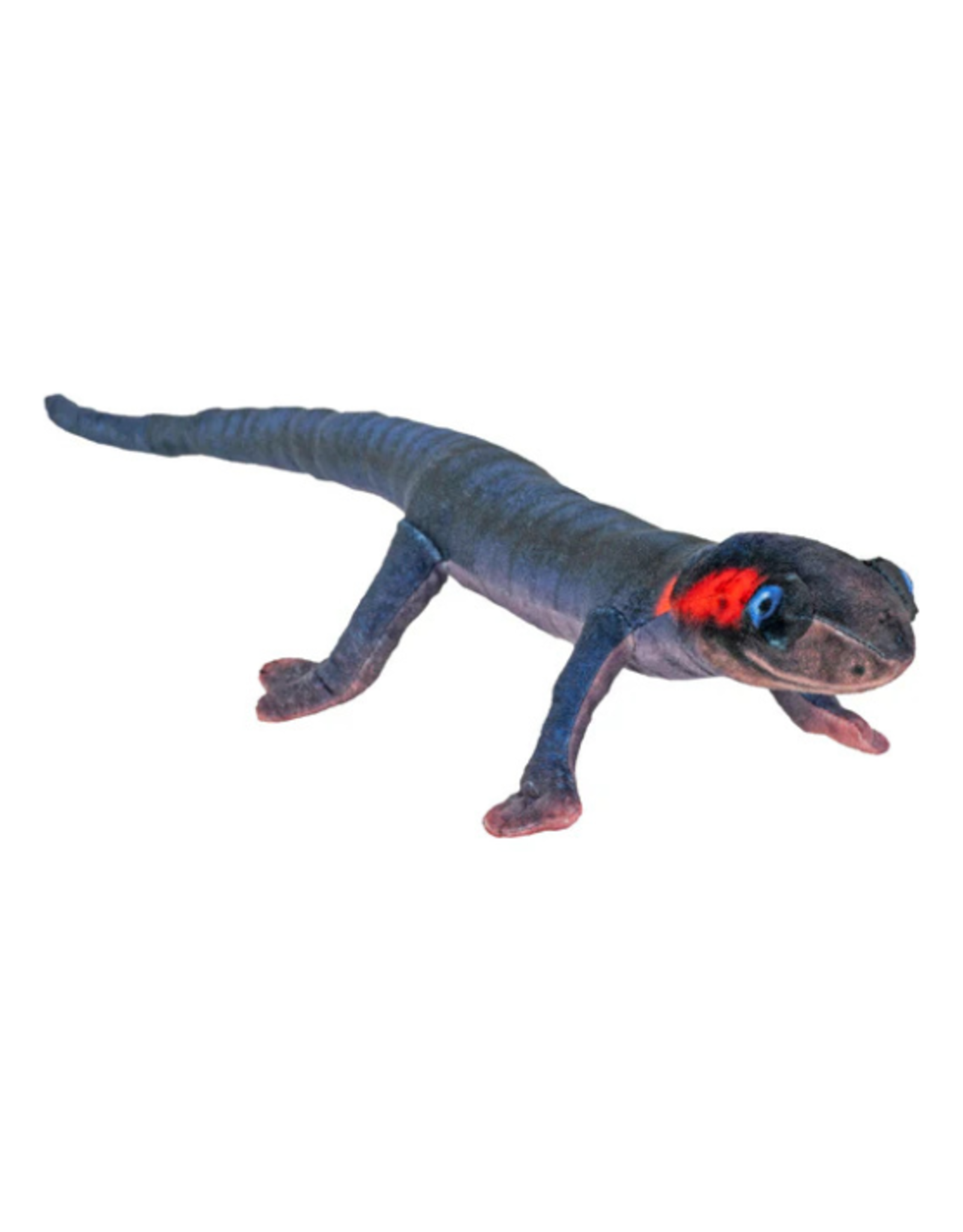 Wild Republic Wild Republic - Coilkins Red Cheeked Salamander 12"