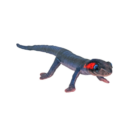Wild Republic Coilkins Red Cheeked Salamander 12"