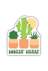 Stickers Northwest Inc. Stickers Northwest - Lookin Sharp Trio Of Cacti
