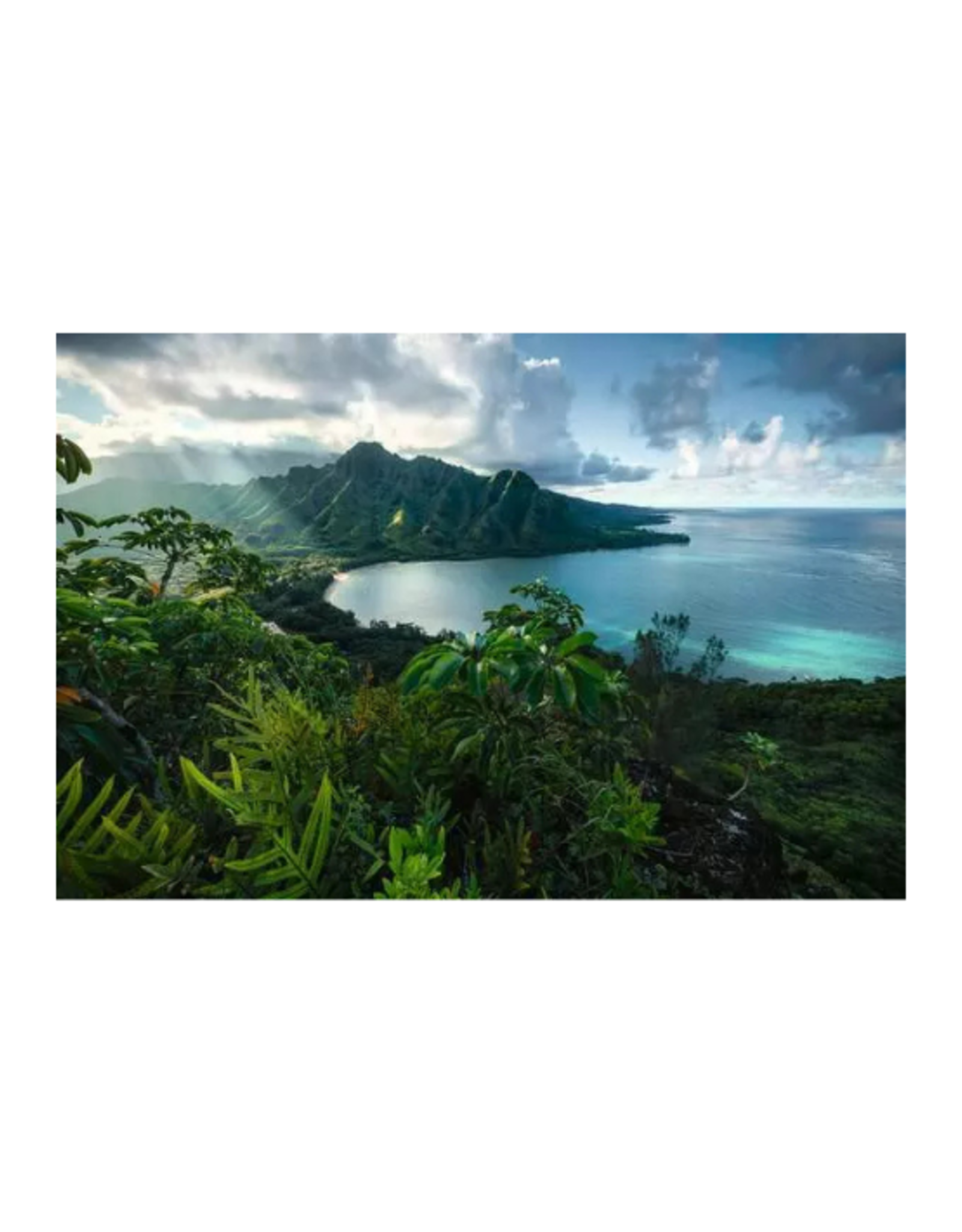 Ravensburger Ravensburger - 5000pcs - Hawaiian Viewpoint