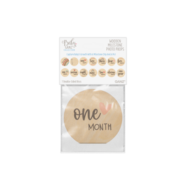 Ganz Milestone Photo Prop Set Months