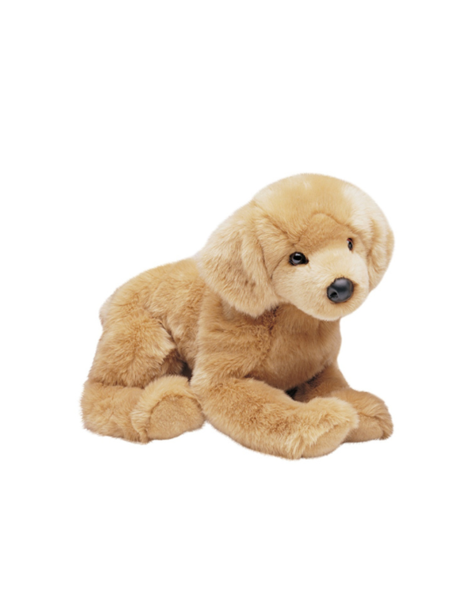 Douglas Douglas - Honey Golden Retriever