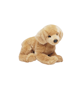 Douglas Honey Golden Retriever