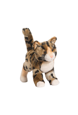 Douglas Douglas - Tashette Bengal Cat