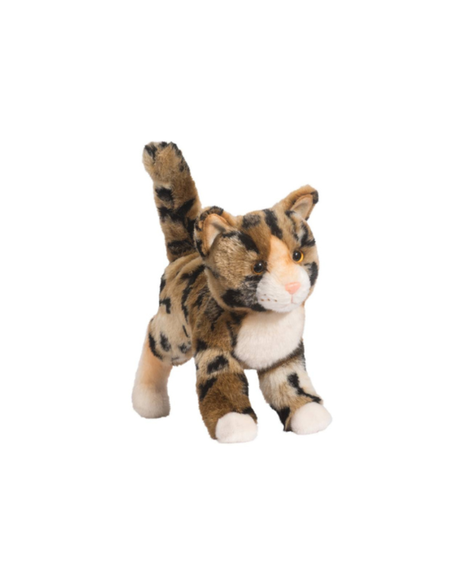 Douglas Douglas - Tashette Bengal Cat