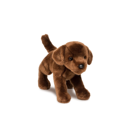 Douglas C.C. Bean Chocolate Lab