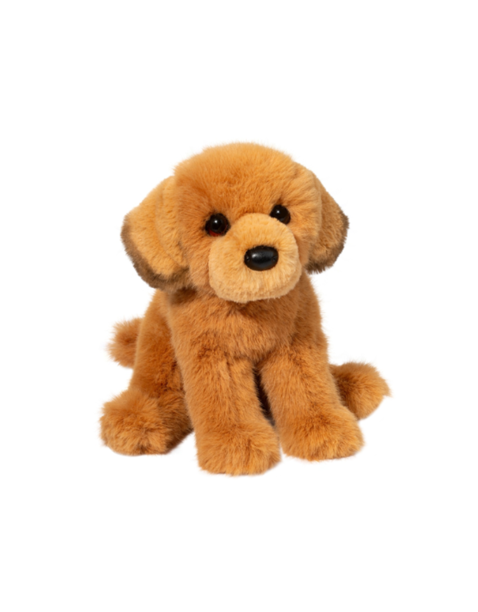 Douglas Douglas - August Golden Retriever