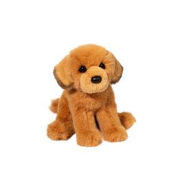 Douglas August Golden Retriever