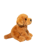 Douglas Douglas - August Golden Retriever Douglas Douglas - August Golden Retriever