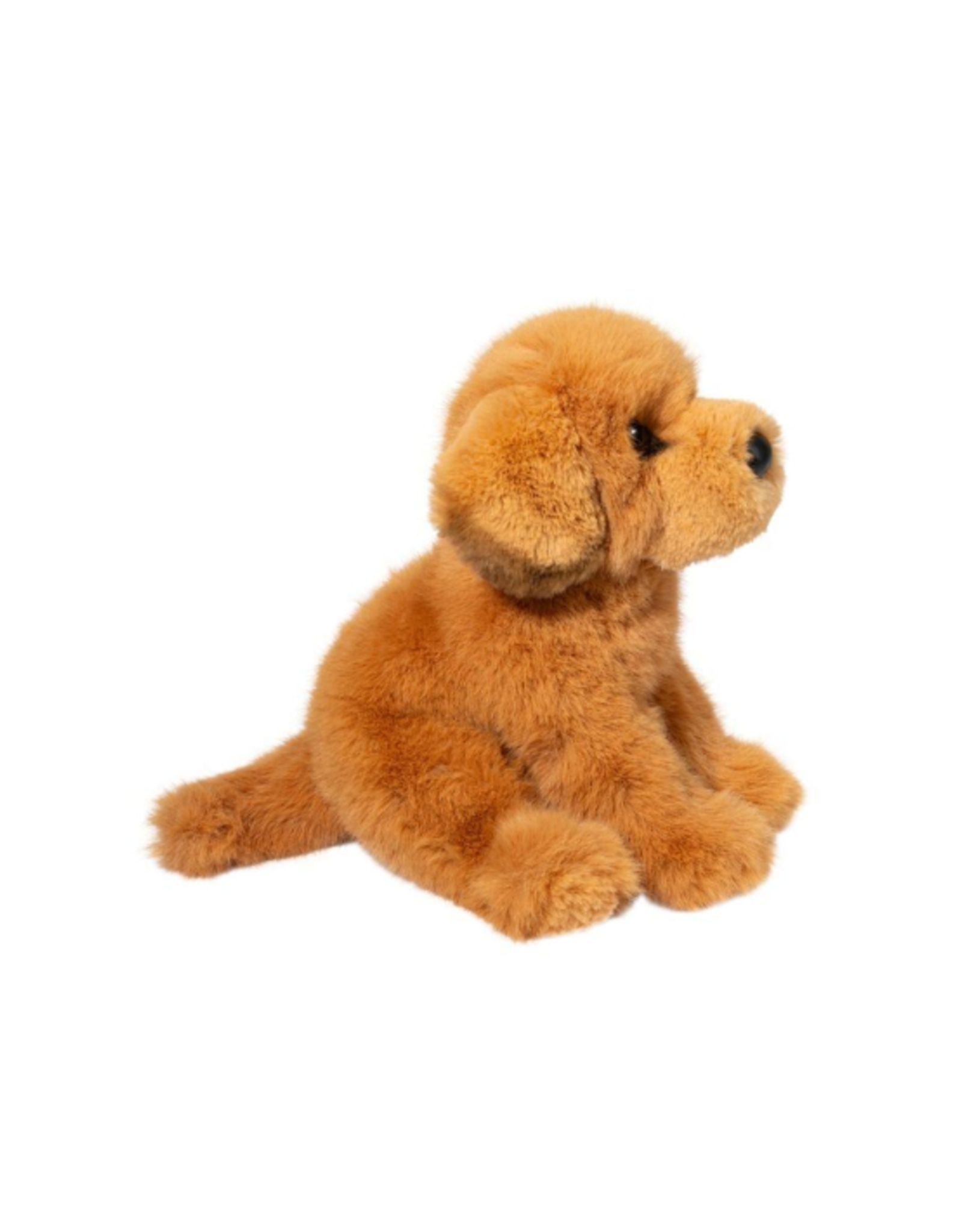 Douglas Douglas - August Golden Retriever