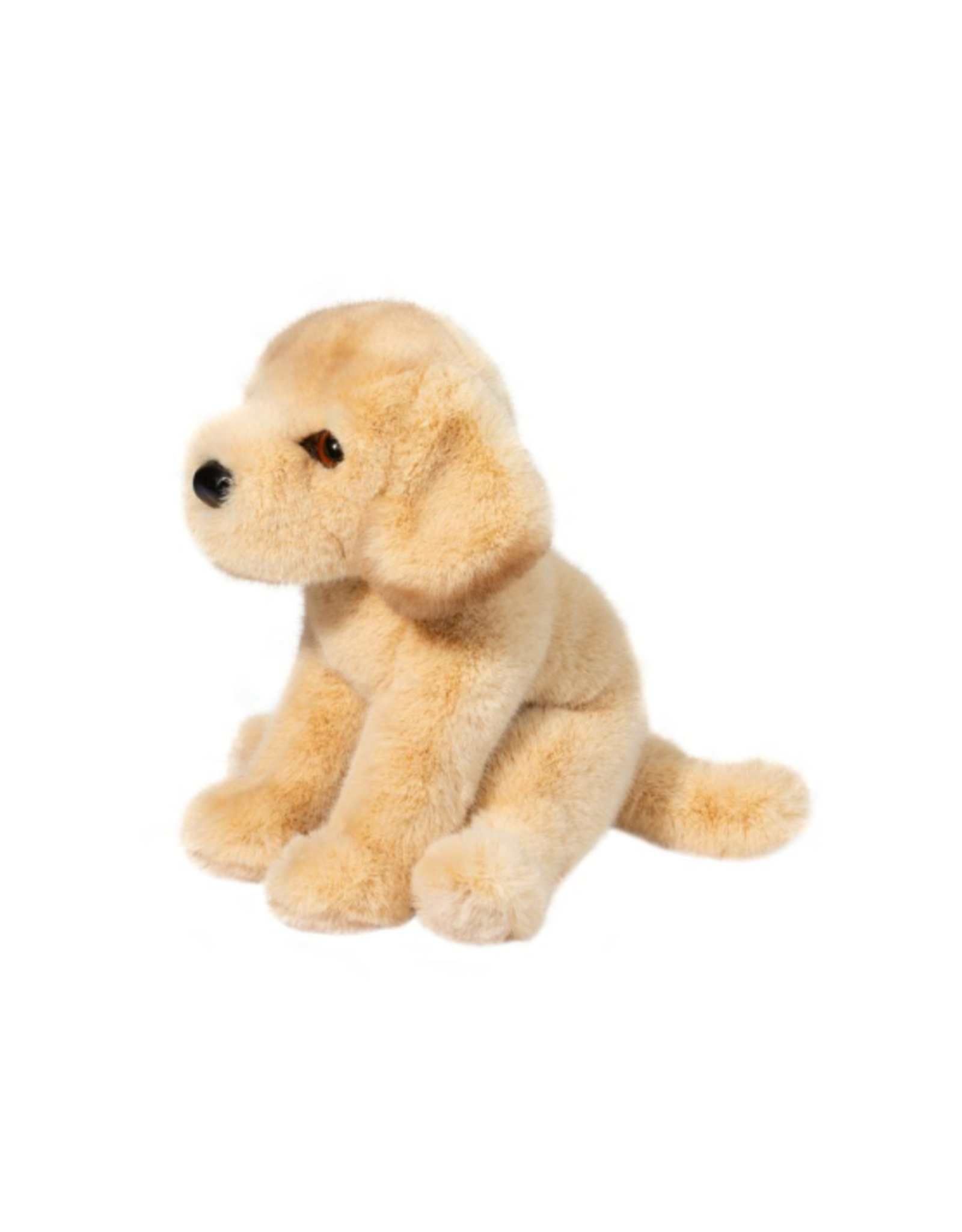 Douglas Douglas - Ace Yellow Lab