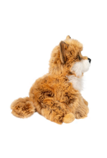 Douglas Douglas - Dove Pomsky Douglas Douglas - Dove Pomsky