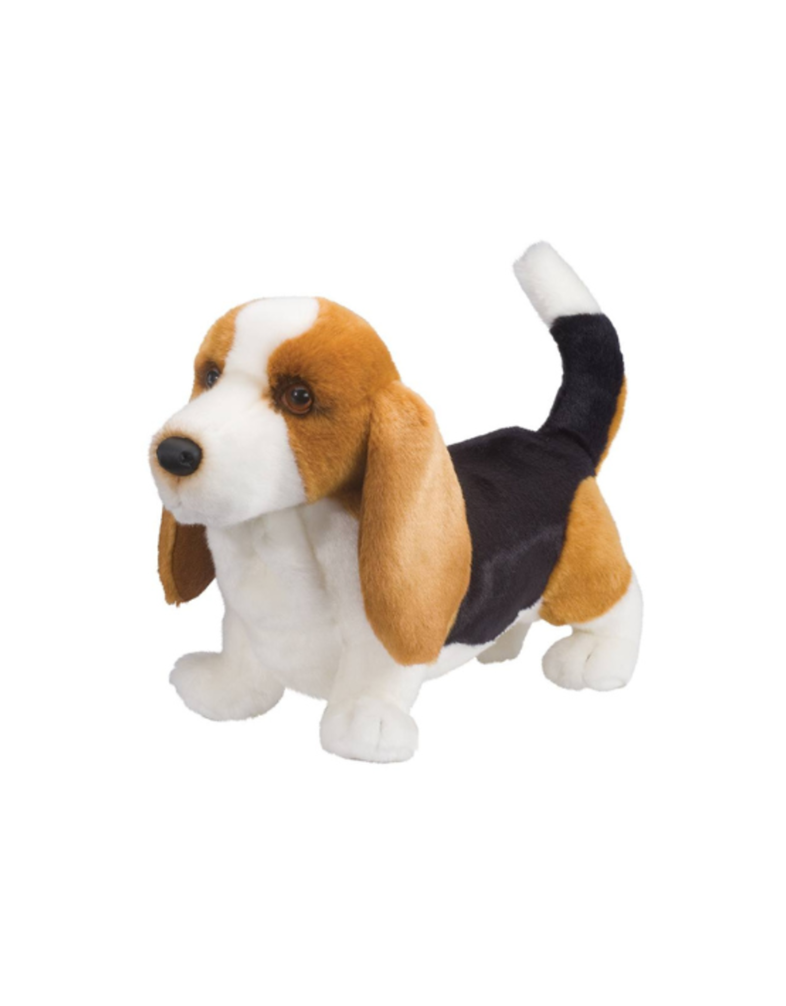 Douglas Douglas - Harold Basset Hound