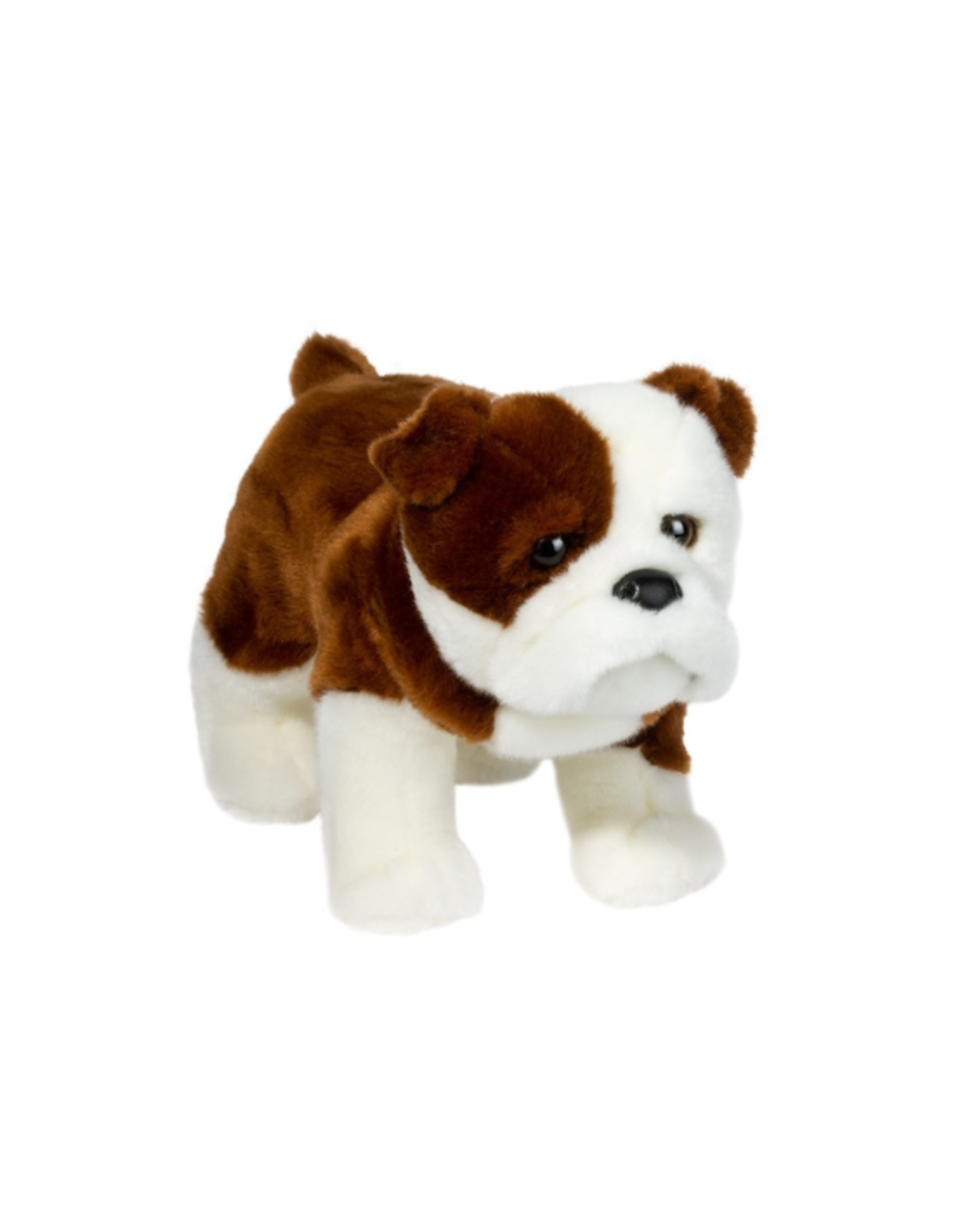 Douglas Douglas - Hardy Bulldog