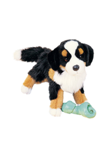 Douglas Douglas - Trevor Bernese Mountain Dog
