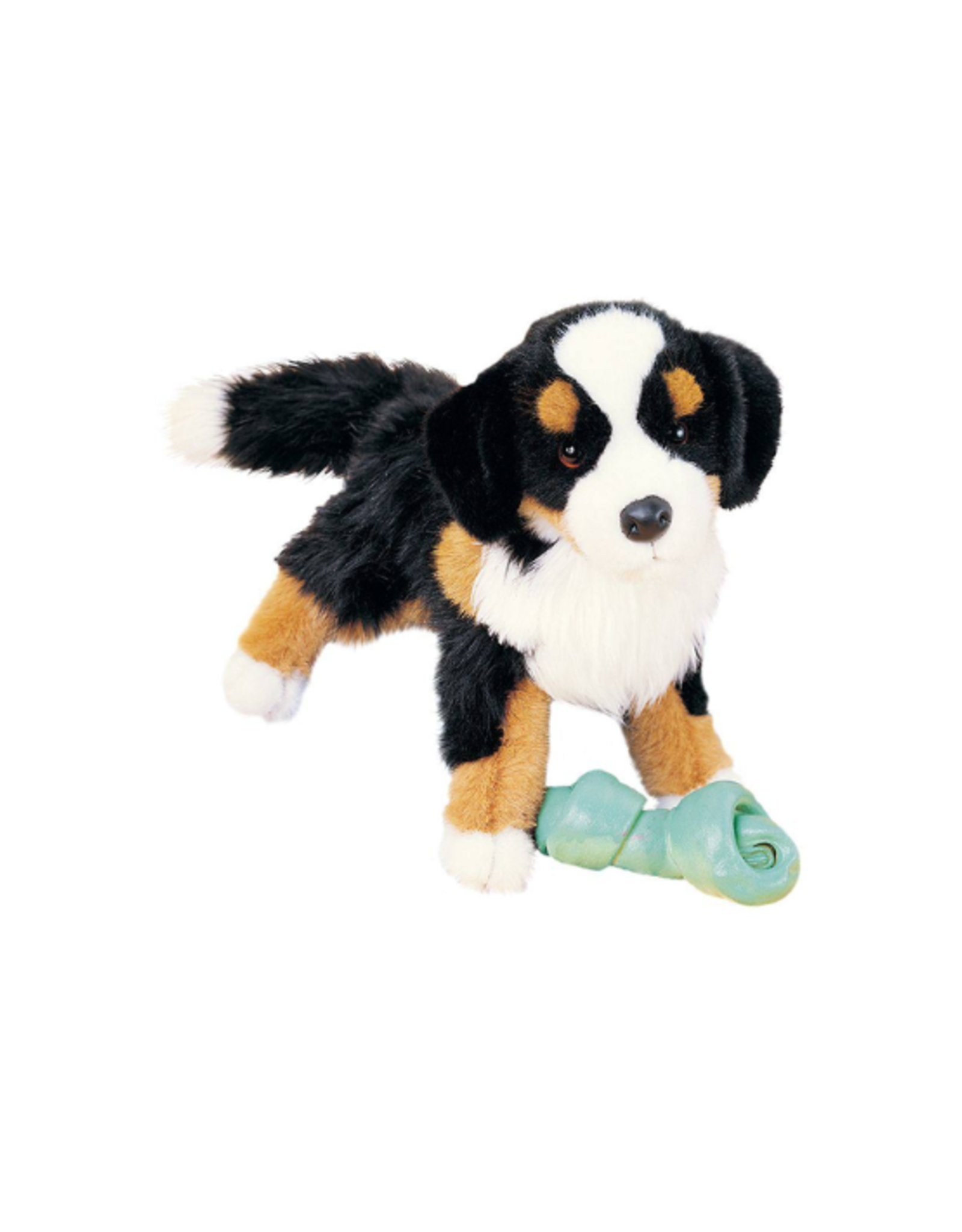 Douglas Douglas - Trevor Bernese Mountain Dog