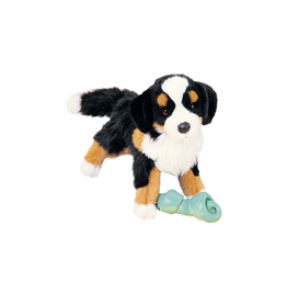 Douglas Trevor Bernese Mountain Dog