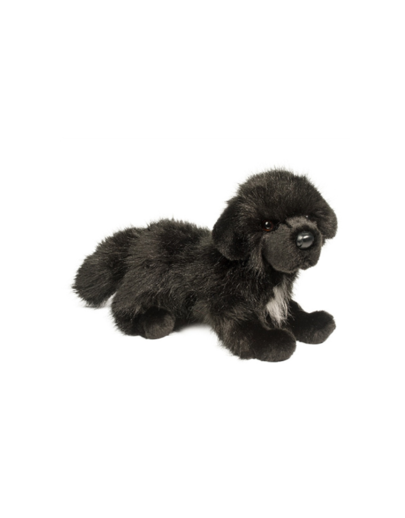 Douglas Douglas - Bundy Newfoundland