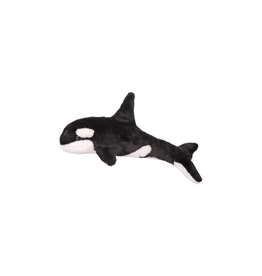 Douglas Spout Orca Whale