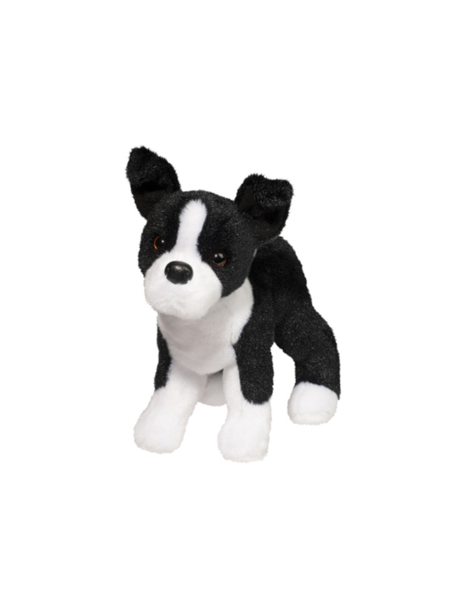 Douglas Douglas - Quincy Boston Terrier