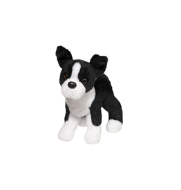 Douglas Quincy Boston Terrier