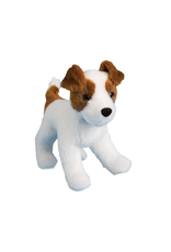 Douglas Douglas - Feisty Jack Russel Terrier Douglas Douglas - Feisty Jack Russel Terrier