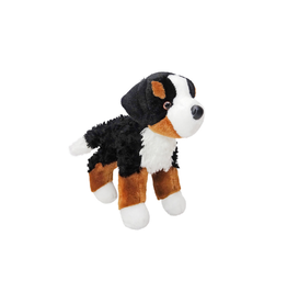 Douglas Miranda Bernese Mountain Dog