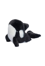 Douglas Douglas - Lil’ Baby Orca Whale Douglas Douglas - Lil’ Baby Orca Whale