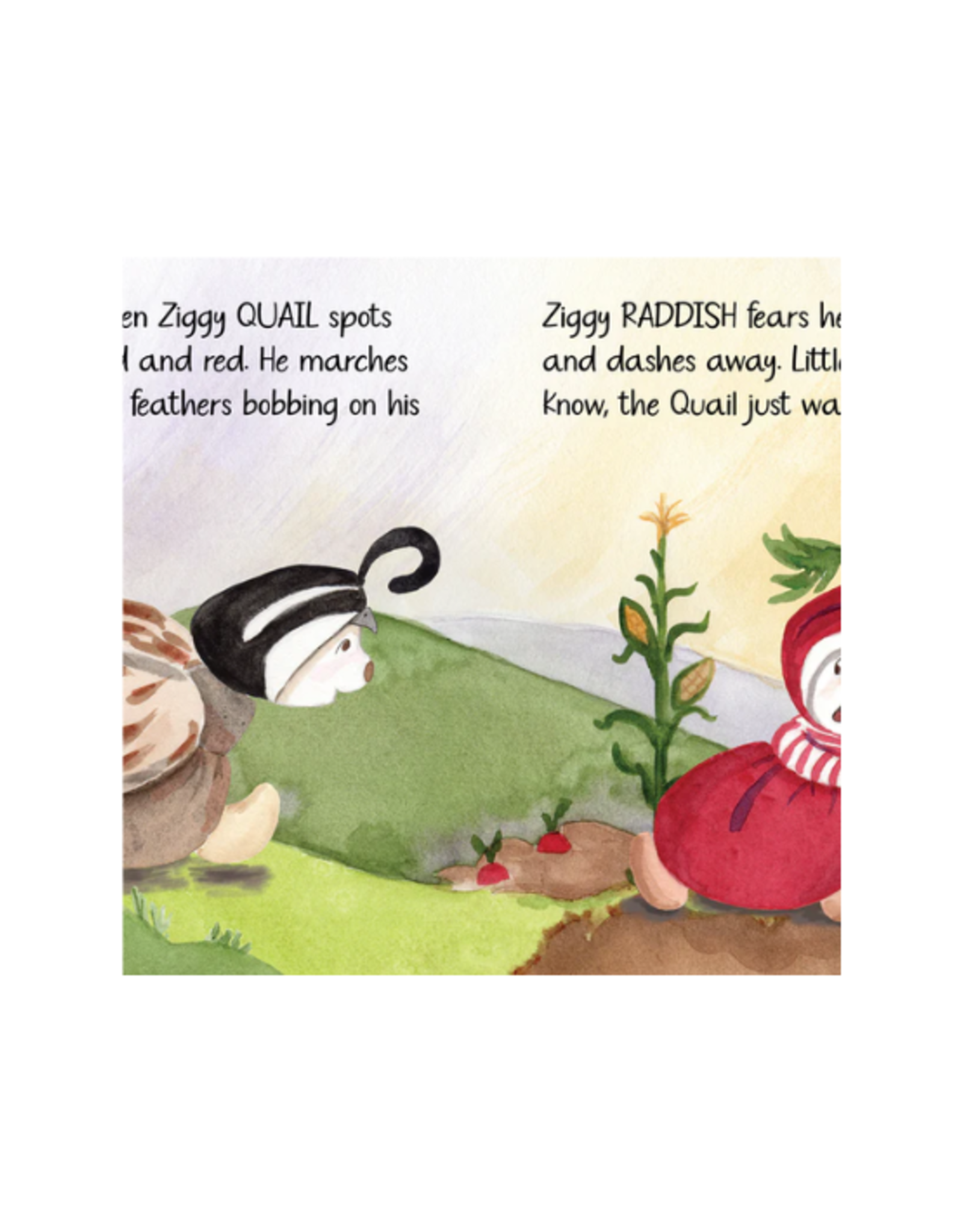 Bukowski Bears Bukowski Bears - Z is for Ziggy Book