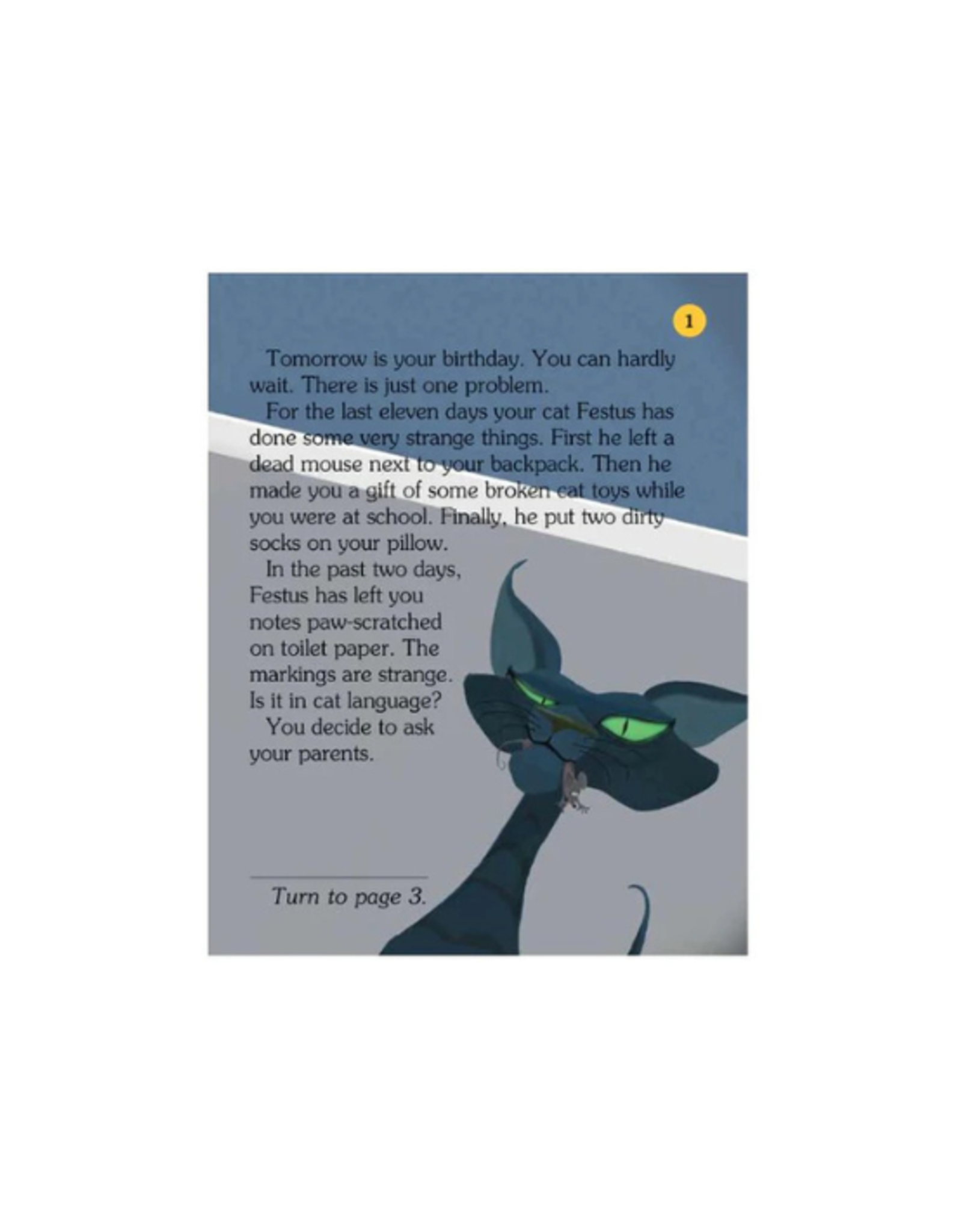 Choose Your Own Adventure Choose Your Own Adventure Book - Your Purrr-fect Birthday