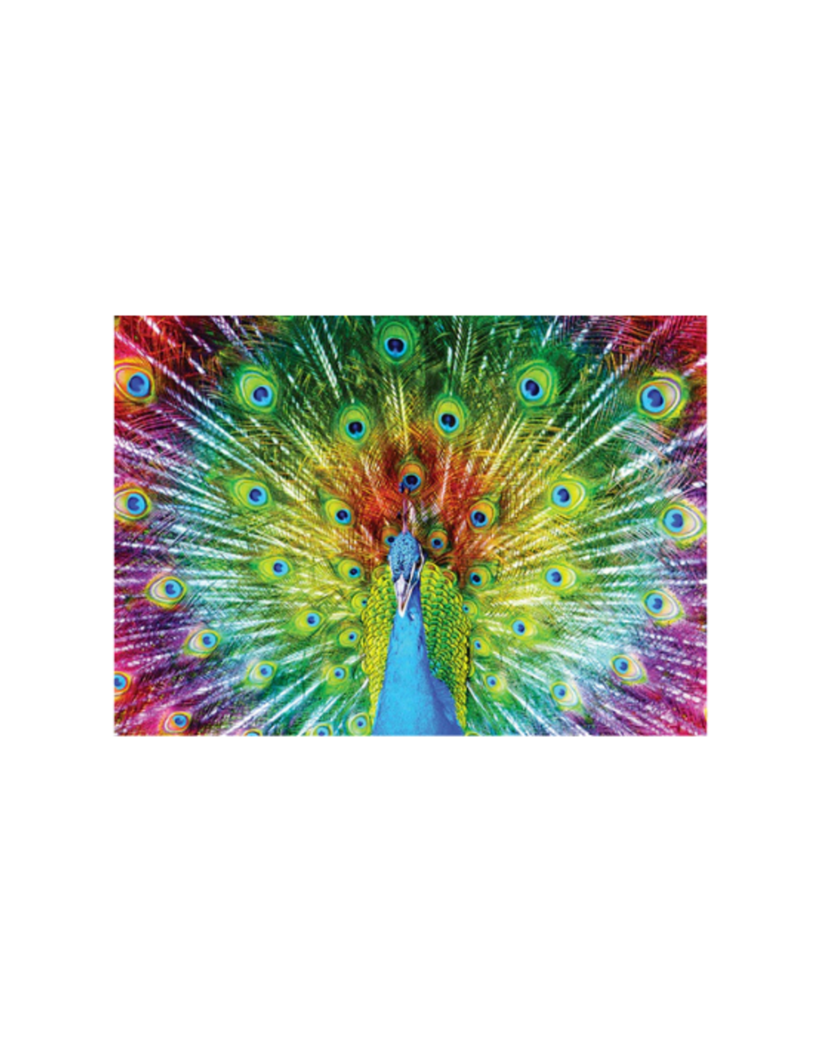 Enjoy Puzzle Enjoy Puzzle - 1000pcs - Colorful Peacock