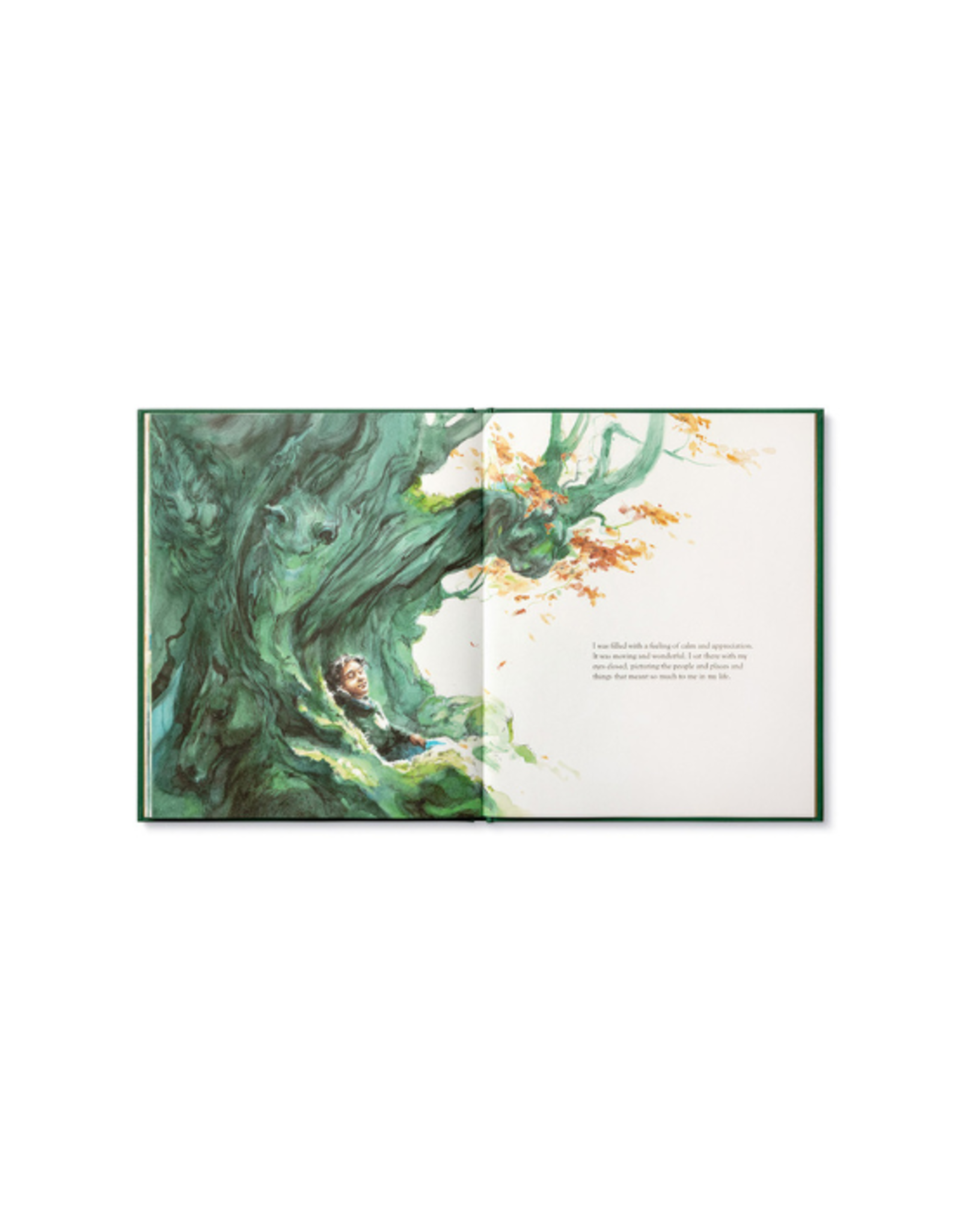 Compendium Compendium - Noticing