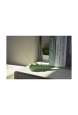 Winkee Winkee - Animal Flash Light Crocodile