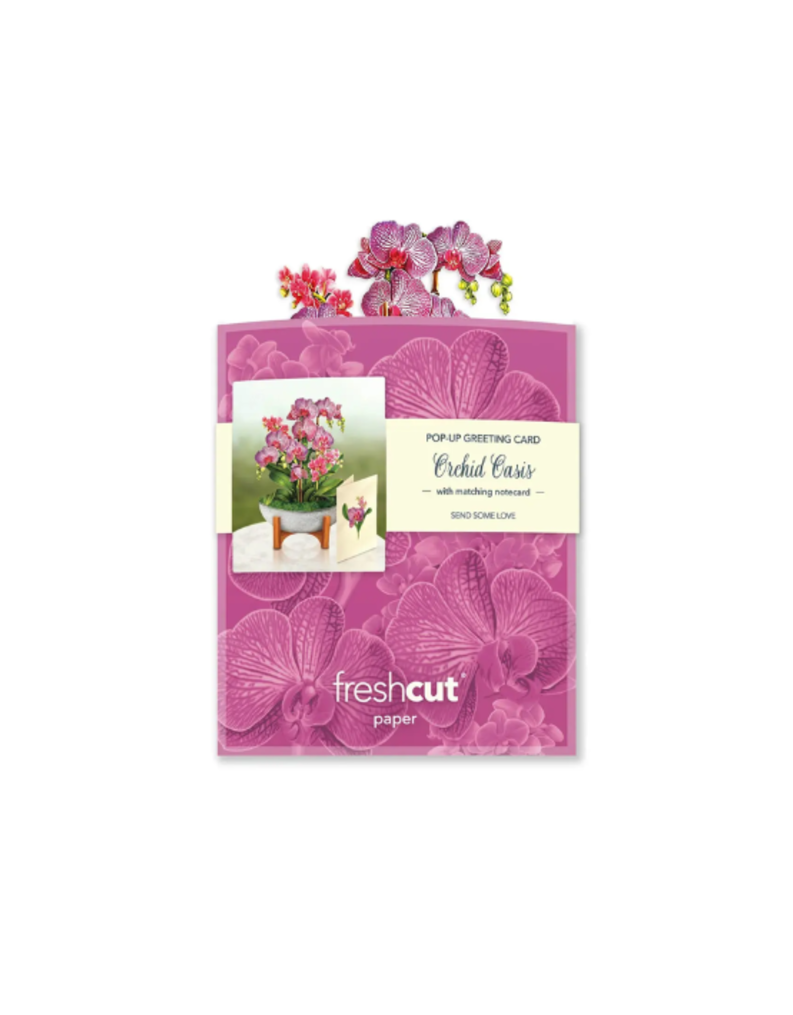 Fresh Cut Paper Fresh Cut Paper - Mini Pop Up Orchid Oasis
