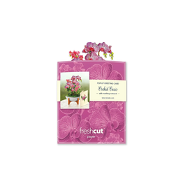 Fresh Cut Paper Mini Pop Up Orchid Oasis