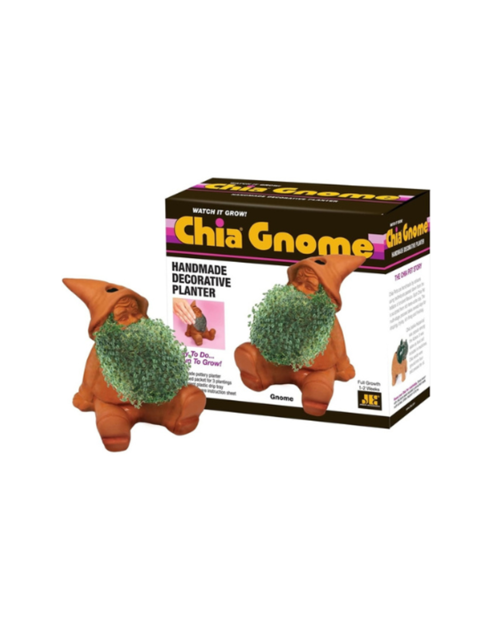 Chia Pet - Gnome
