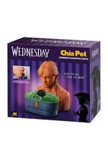 Chia Pet - Wednesday