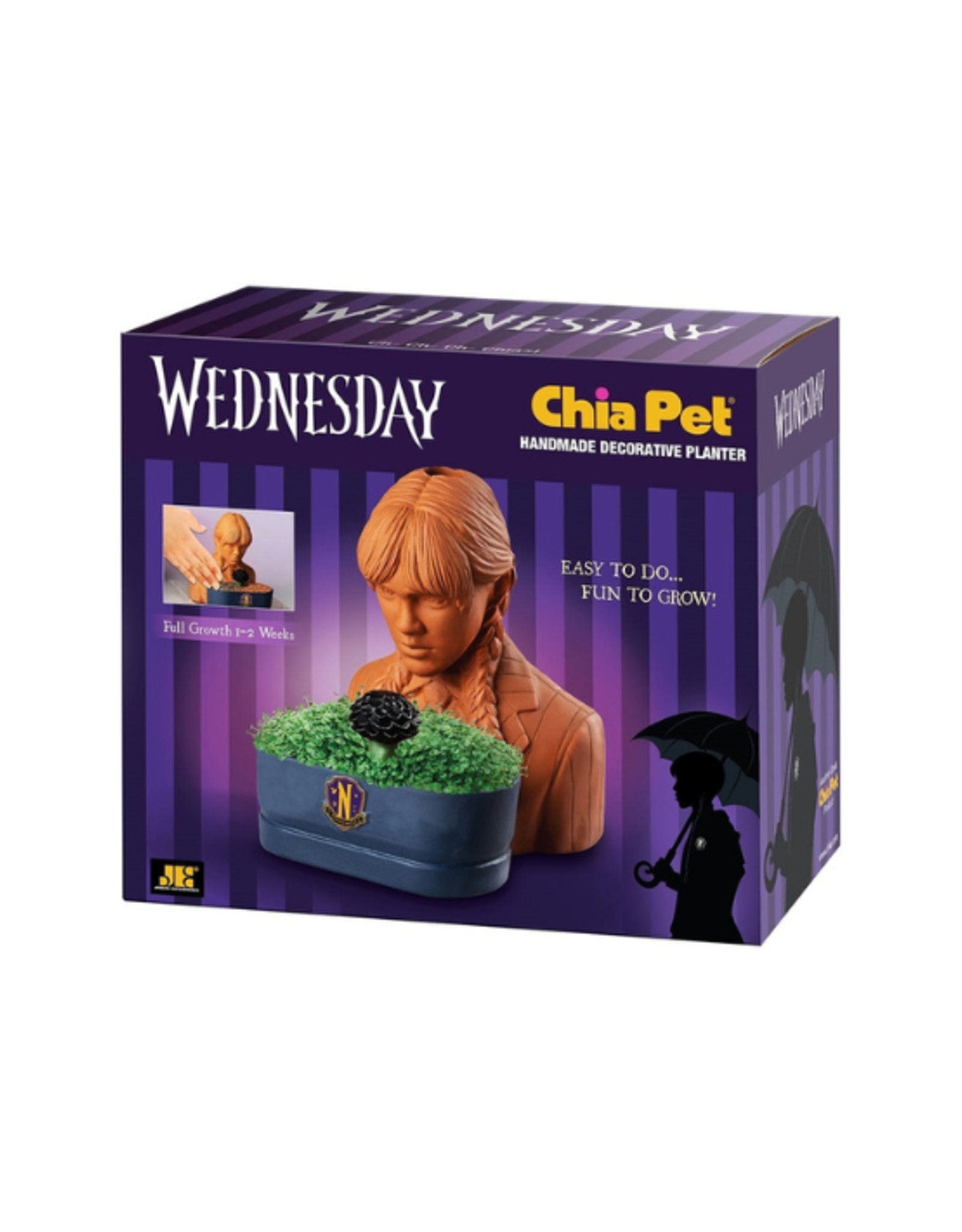 Chia Pet - Wednesday