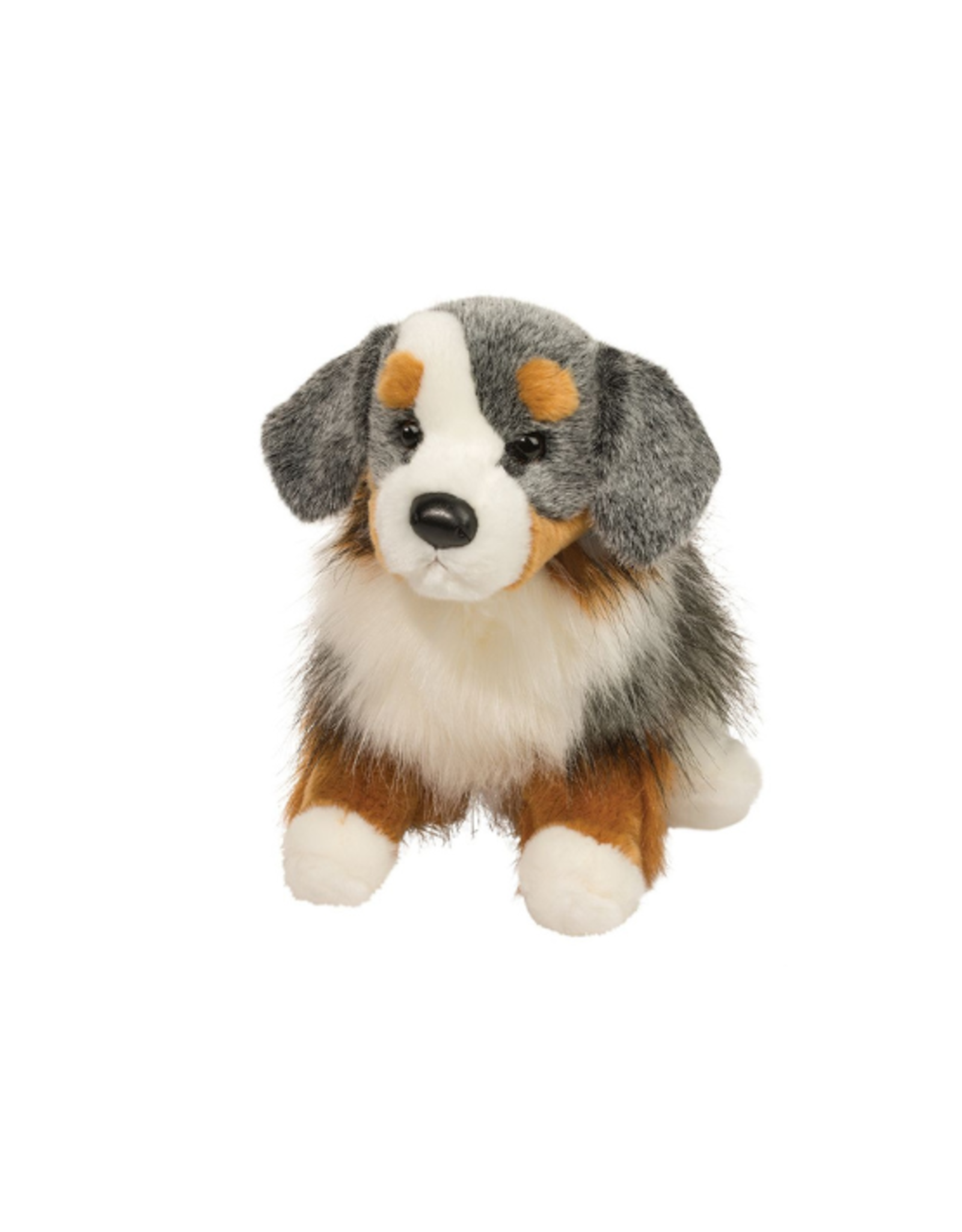 Douglas Douglas - Sinclair Australian Shepherd