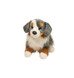 Douglas Sinclair Australian Shepherd