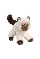 Douglas Douglas - Hilda Himalayan Cat