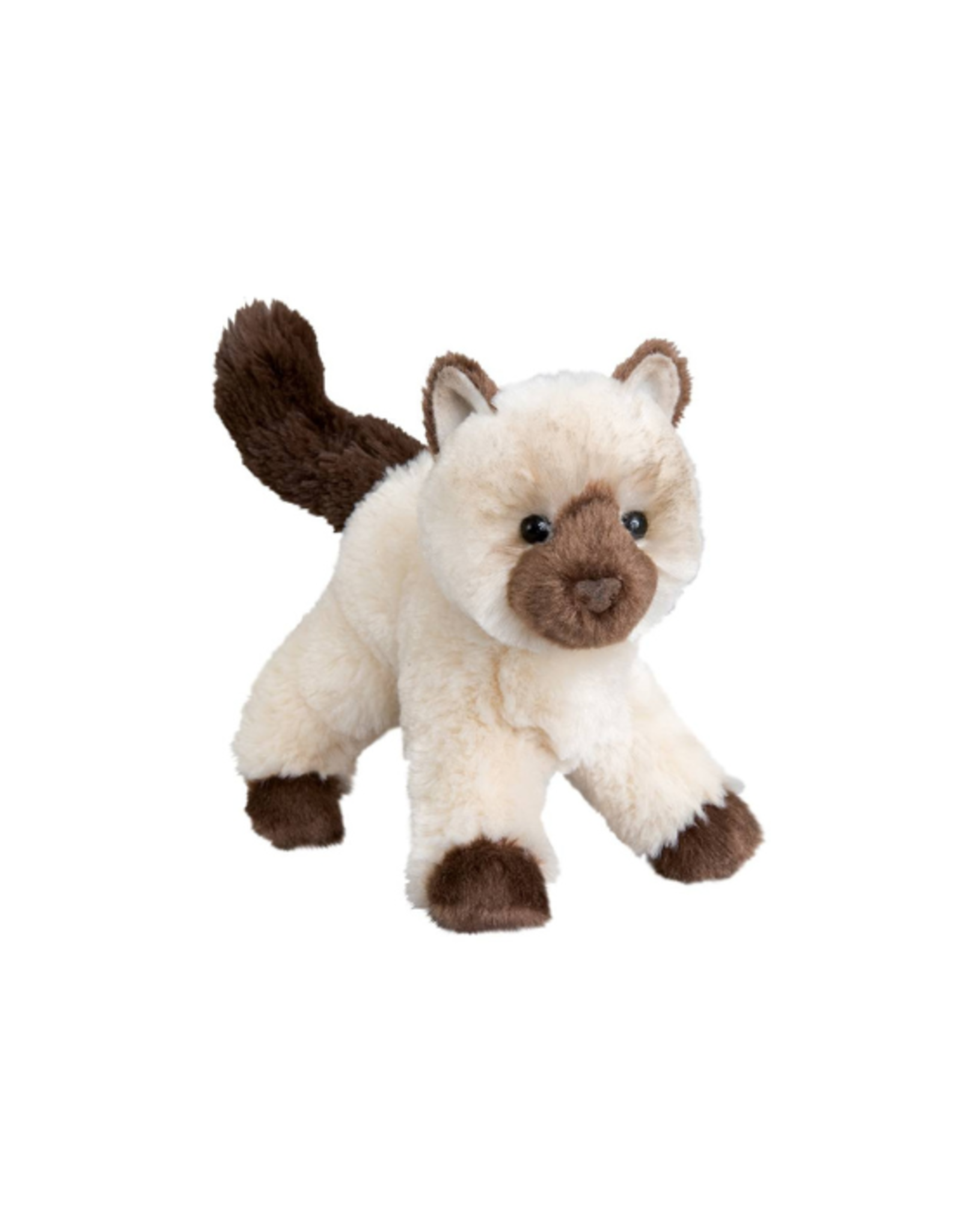 Douglas Douglas - Hilda Himalayan Cat