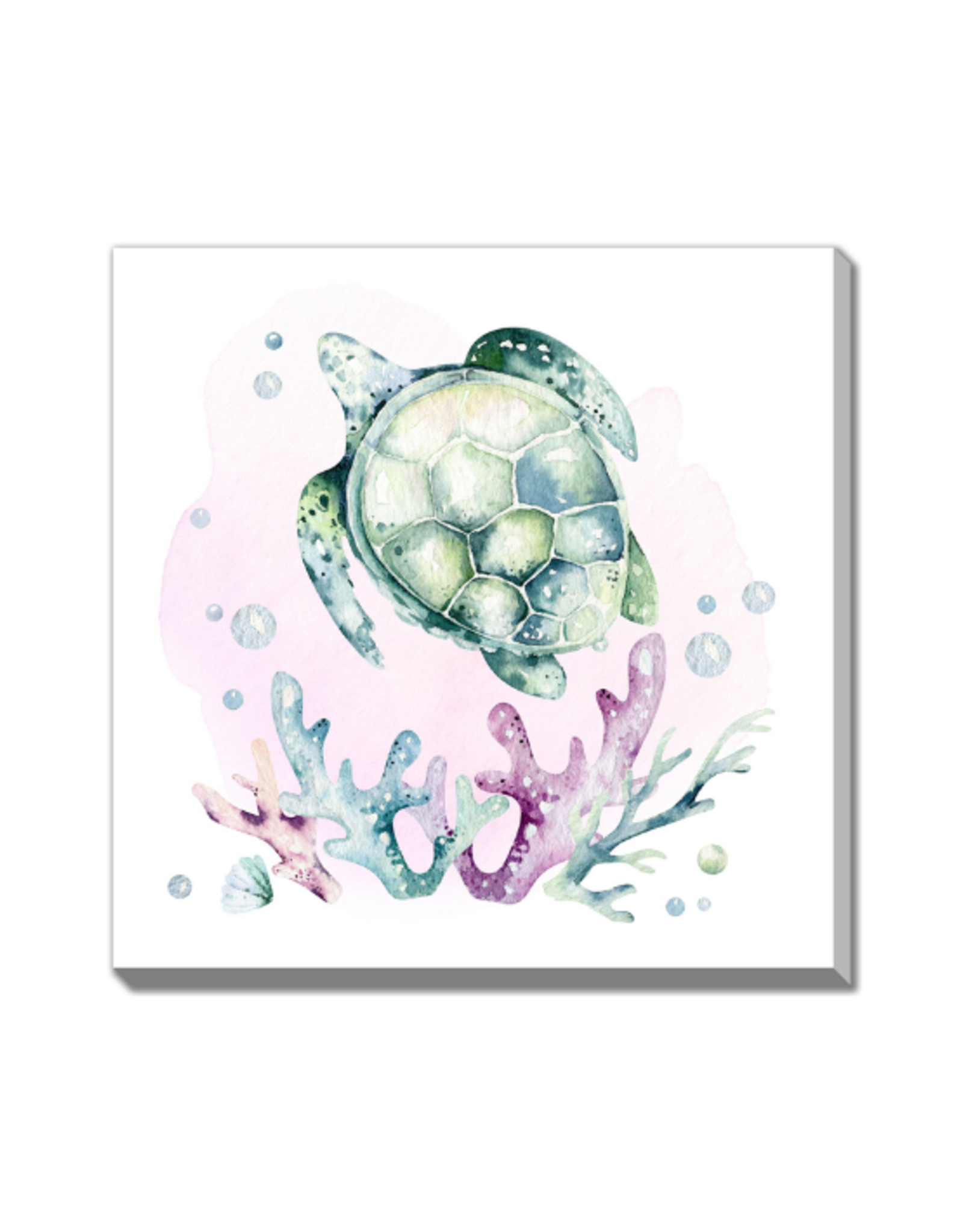 Streamline Streamlineart - Turtle2 38x38