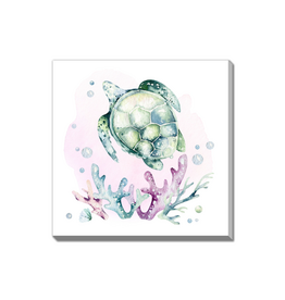 Streamline Turtle2 38x38