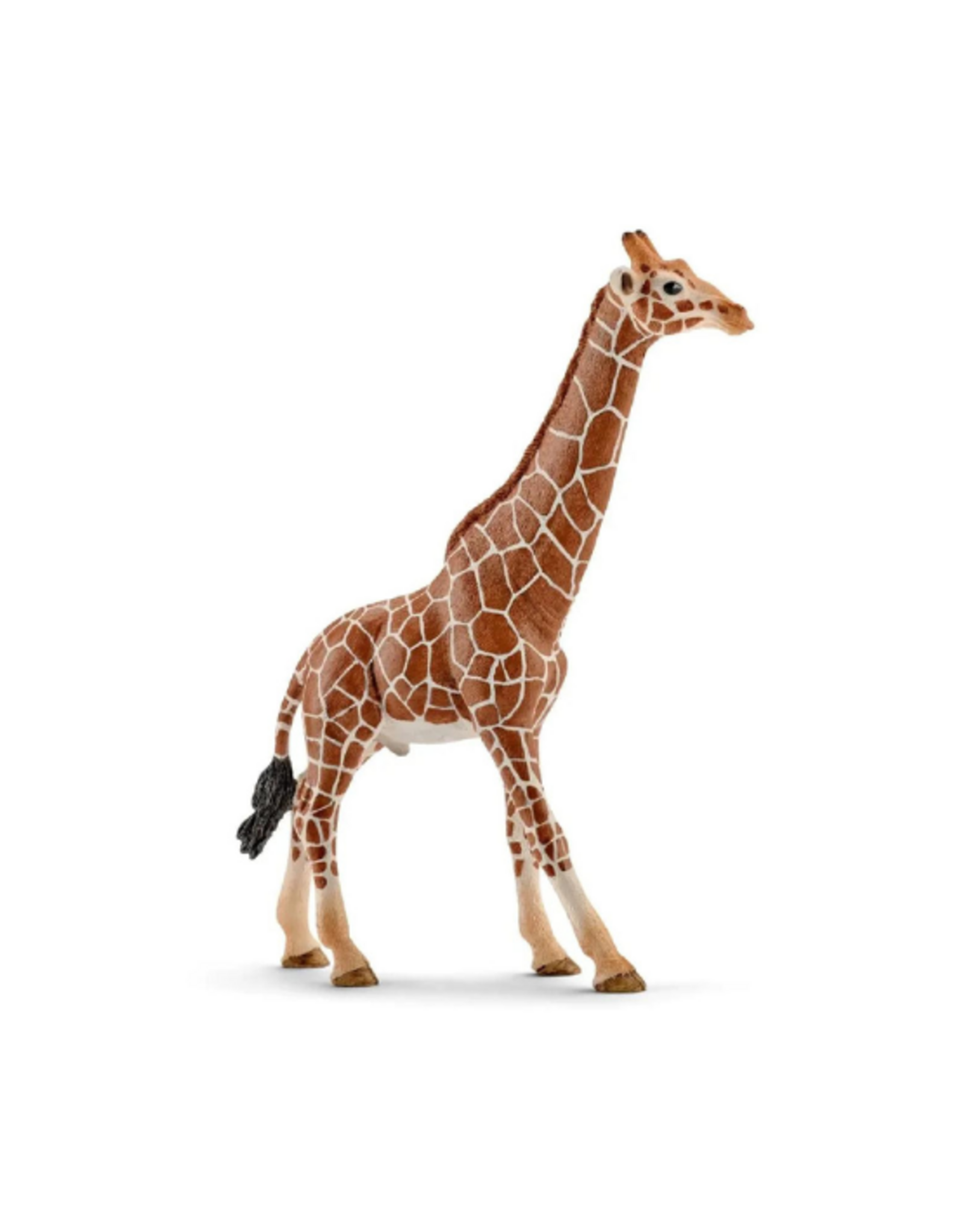 Schleich Schleich - Wild Life - 14749 - Giraffe Male