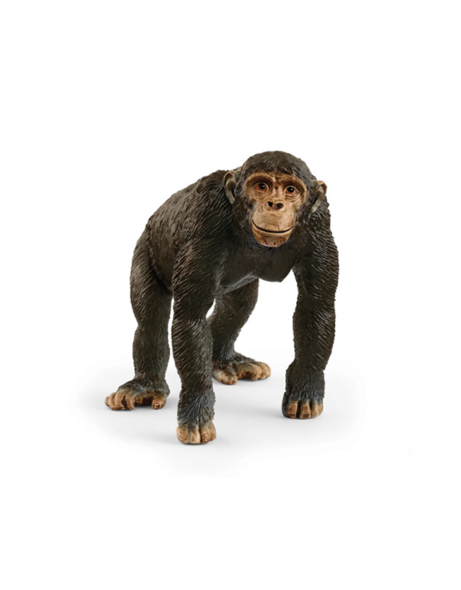Schleich Schleich - Wild Life - 14883 - Chimpanzee